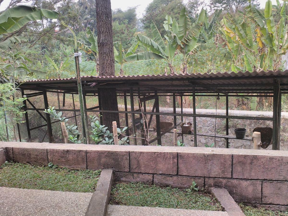 Nabila Syar'I Guest House Padalarang Exterior photo
